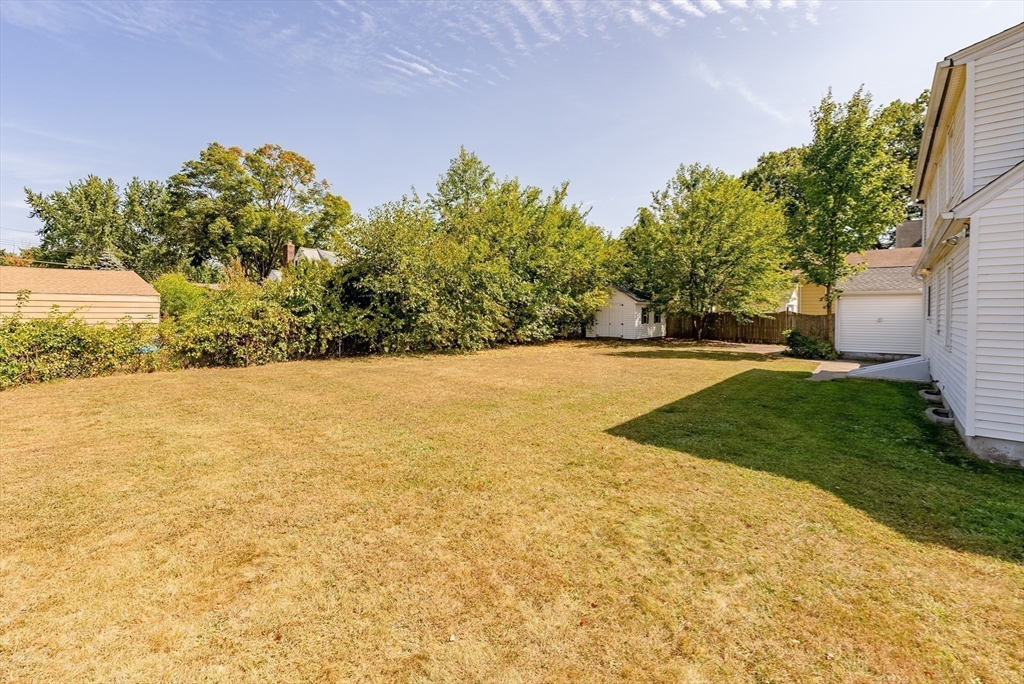 29 Davis Street Springfield, MA 01104 - Photo 7 of 42