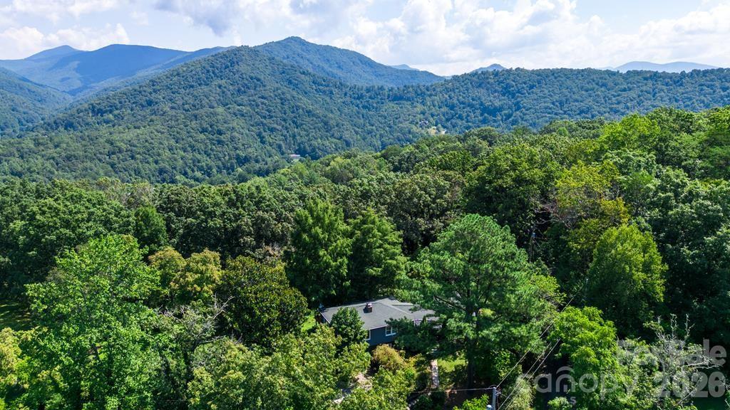 249 Gudger Hill Road Cullowhee, NC 28723 - Photo 31 of 37