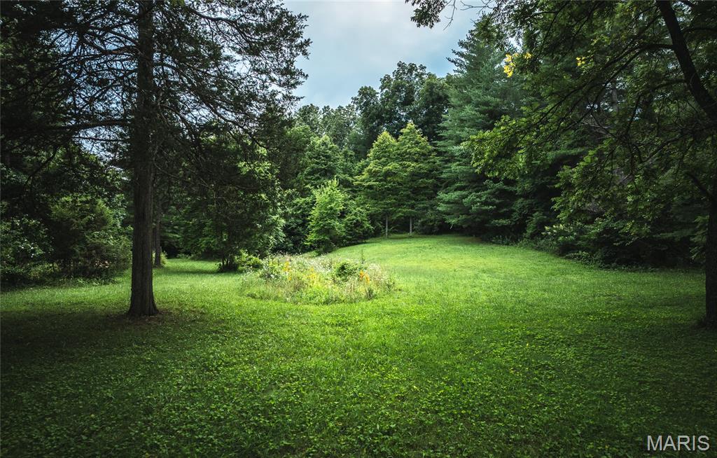 20 Berryman Cut-Off Road Steelville, MO 65565 - Photo 49 of 50