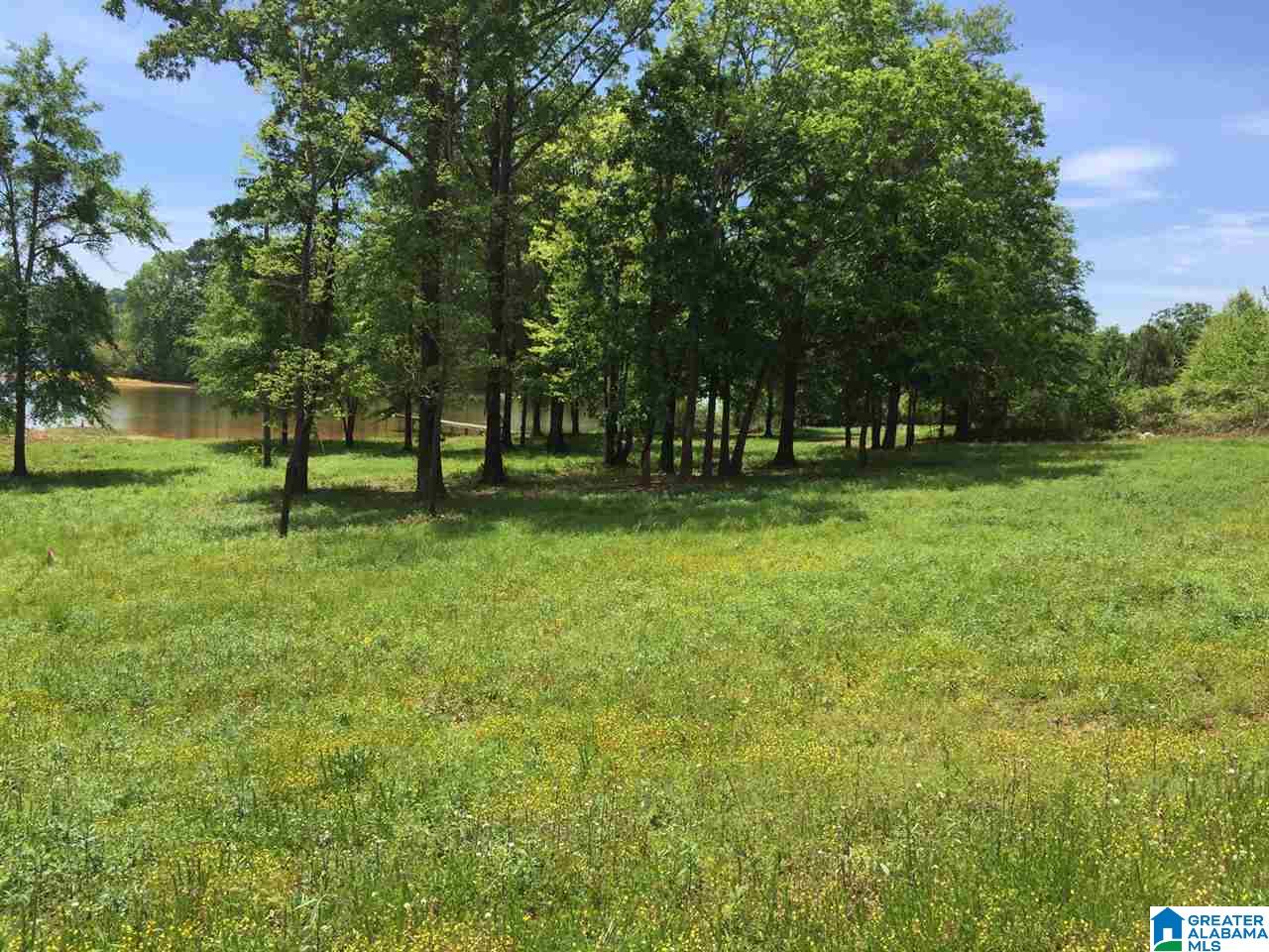 Ranch Marina Road Pell City, AL 35128 - Photo 7 of 8