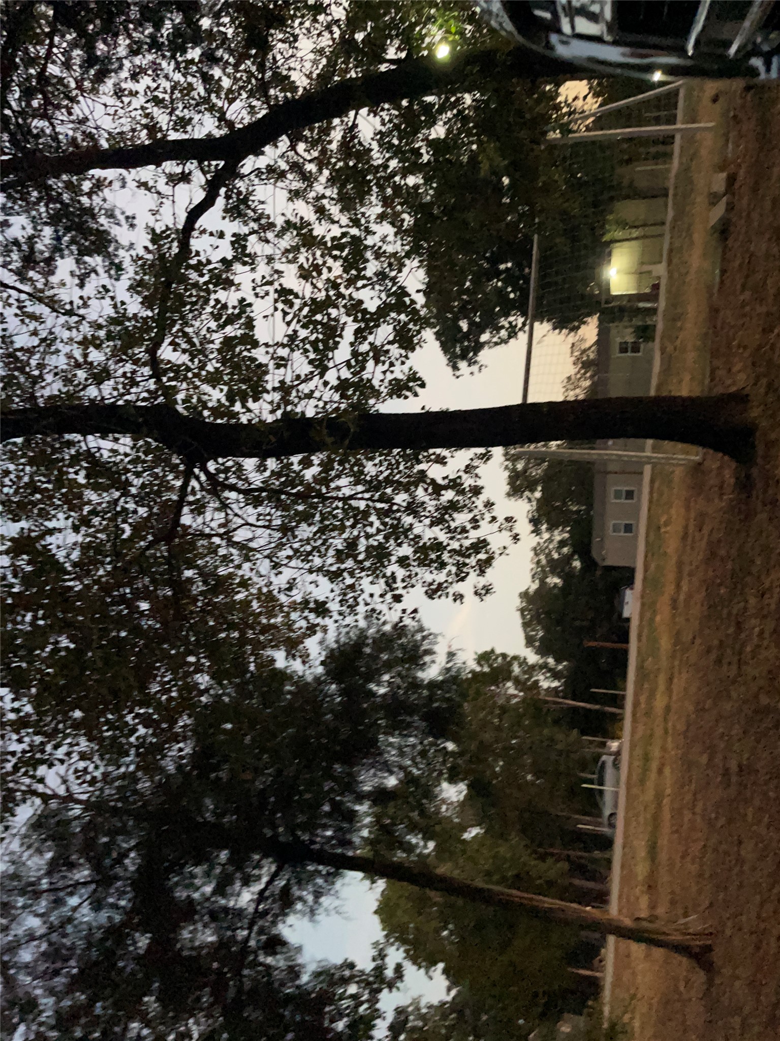 Mature trees frame a spacious grassy property under an open sky.