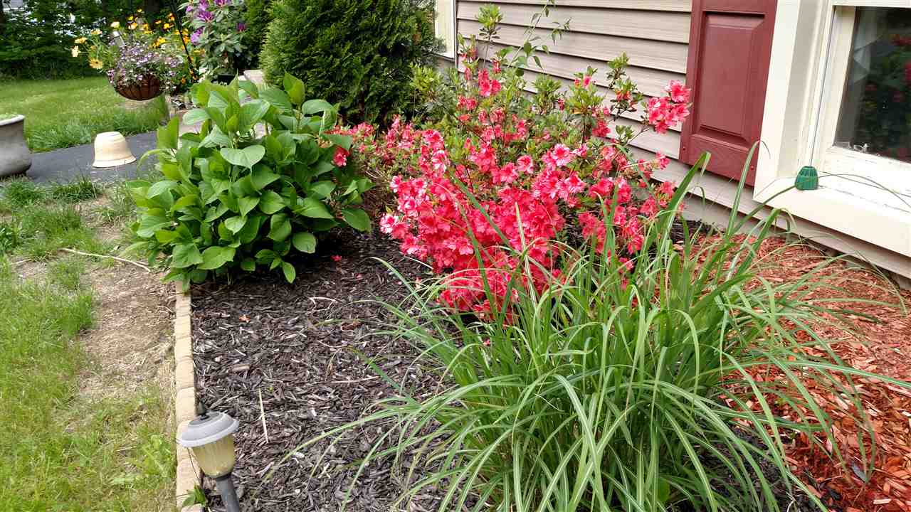77 Harriman Hill Road Raymond, NH 03077 - Photo 29 of 32 Gallery Image 29