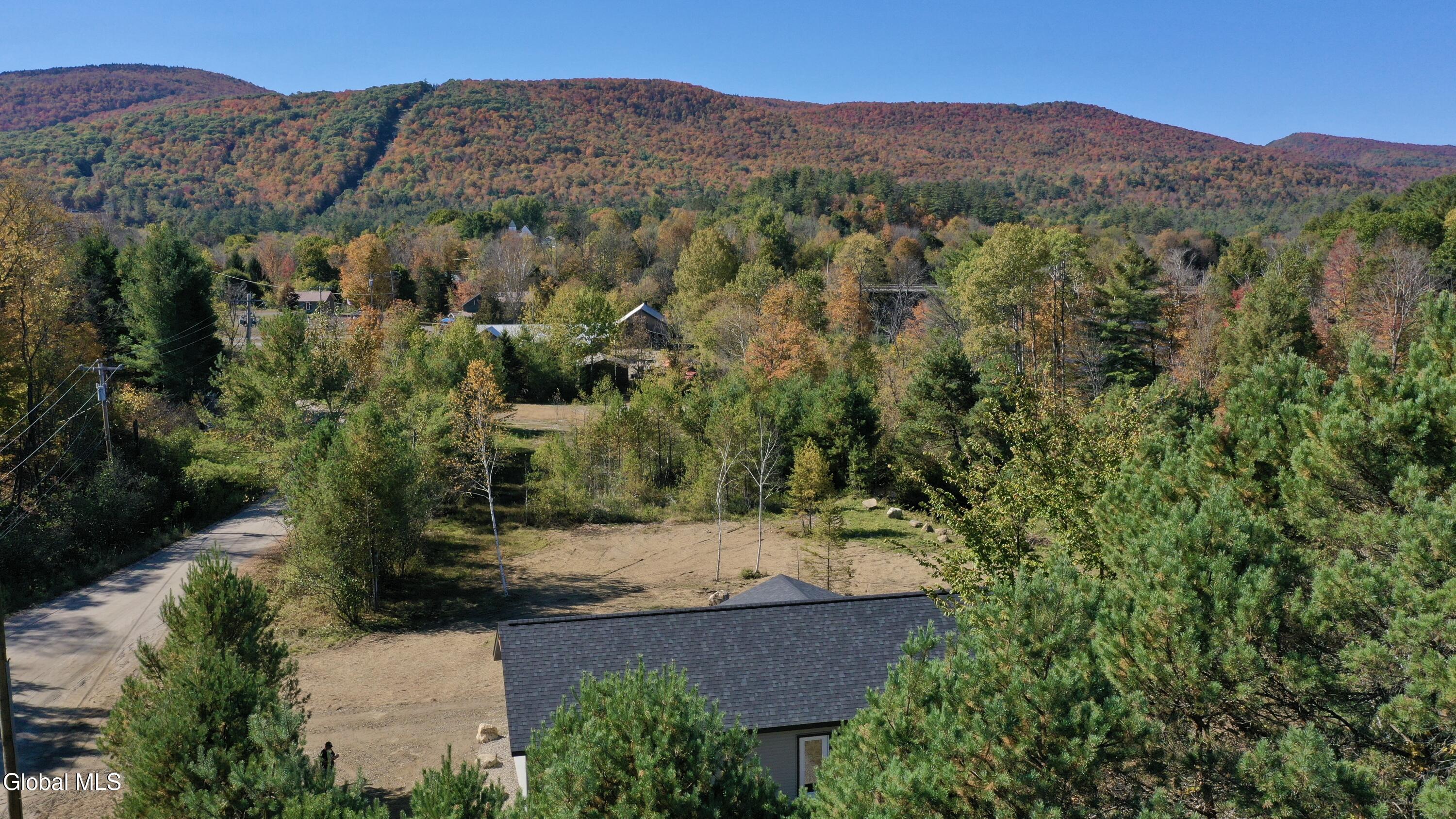 1540 River Road North Creek, NY 12853 - Photo 17 of 56 IMG_6016