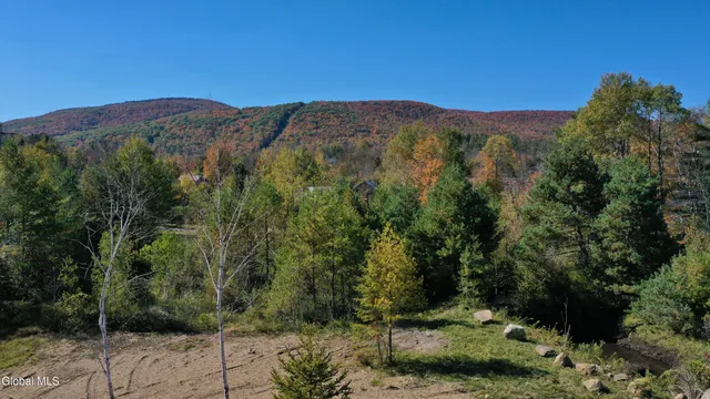 $425,000 | 1540 River Road, North Creek, NY 12853