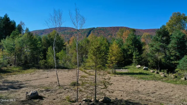 $425,000 | 1540 River Road, North Creek, NY 12853