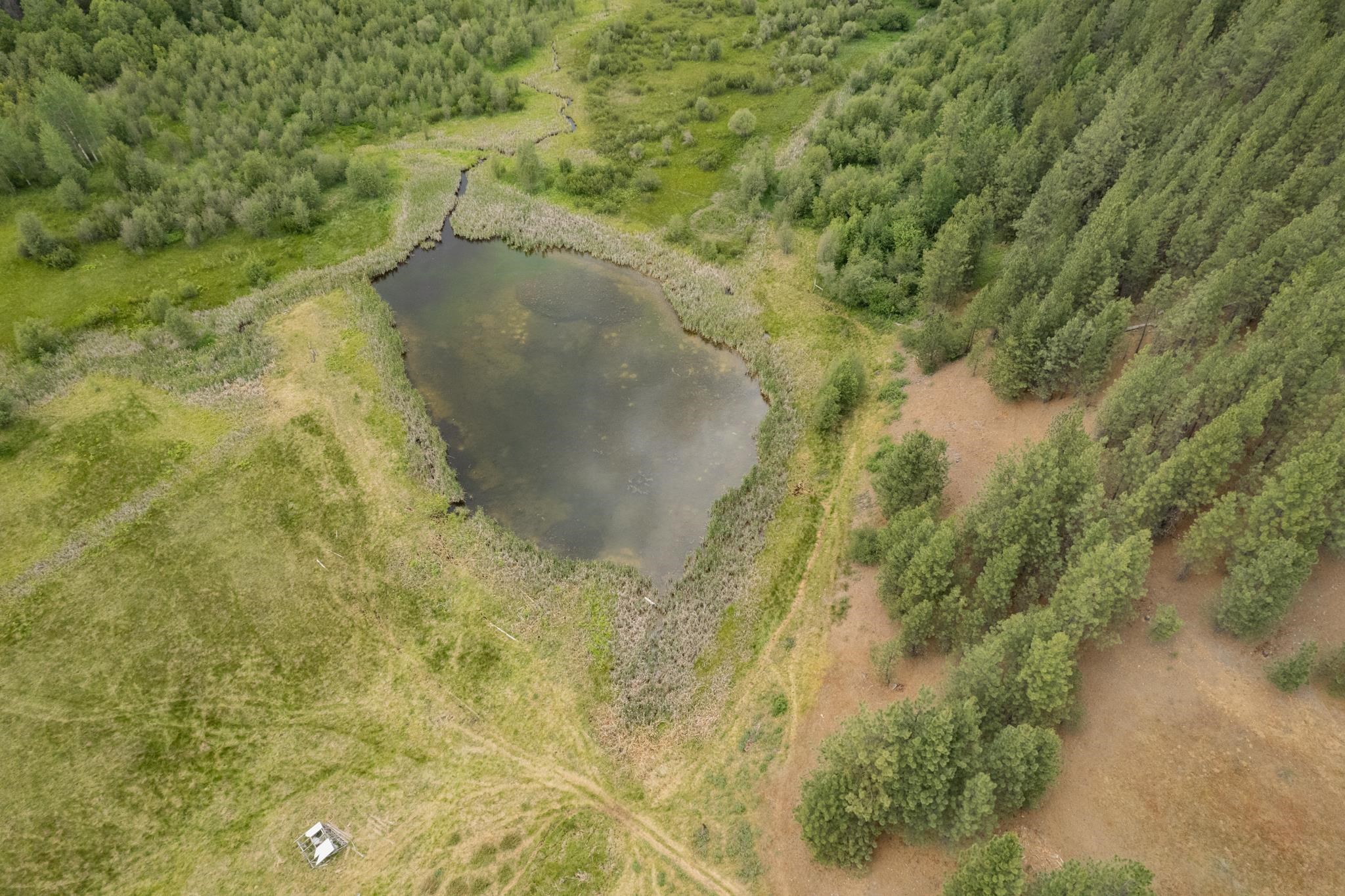 4110 Cemetery Tract Ab Road Springdale, WA 99173 - Photo 17 of 22