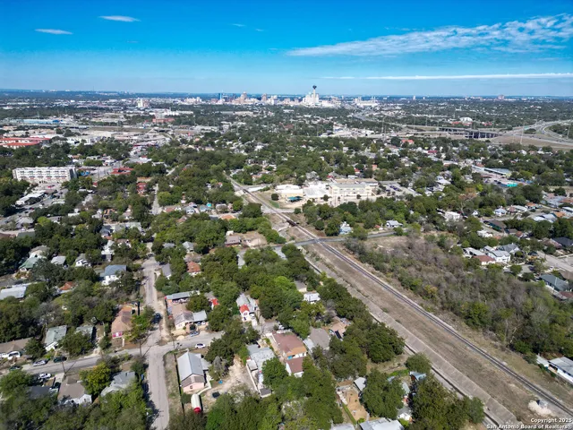 a view of a forest with trees in the background