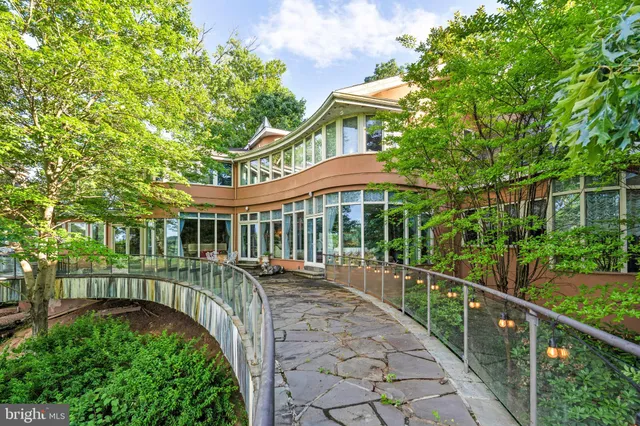 a view of a pathway of a forest