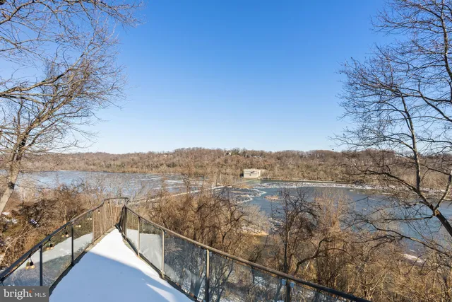a view of backyard with large trees