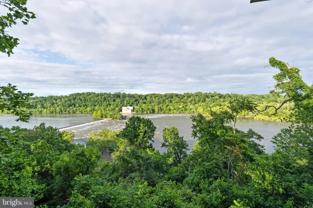 a view of a lake from a yard