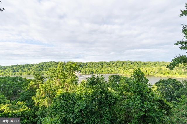 a backyard of a house with lots of green space and plants