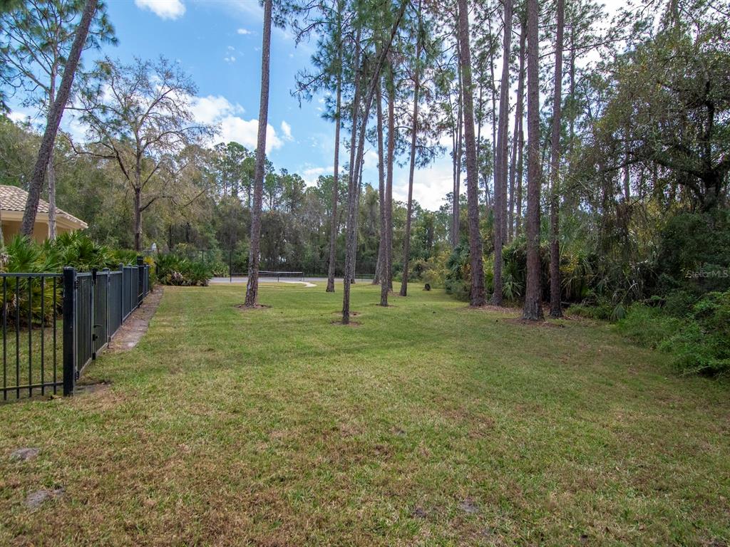 18901 Lakes Edge Way Odessa, FL 33556 - Photo 54 of 63