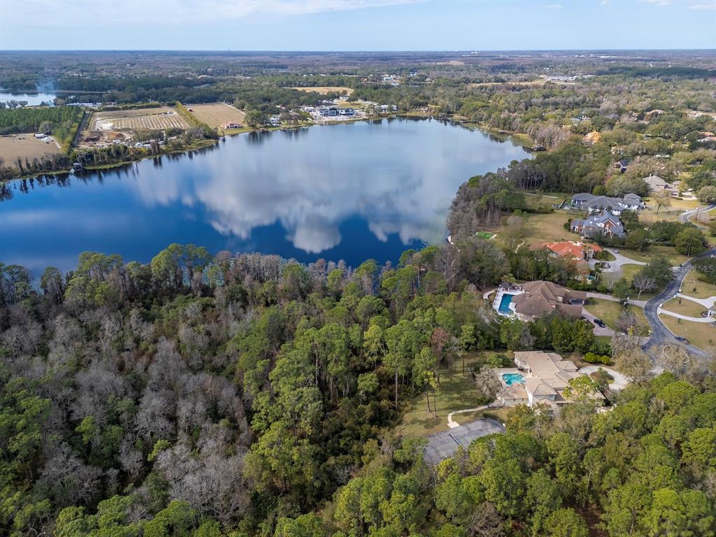 18901 Lakes Edge Way Odessa, FL 33556 - Photo 60 of 63