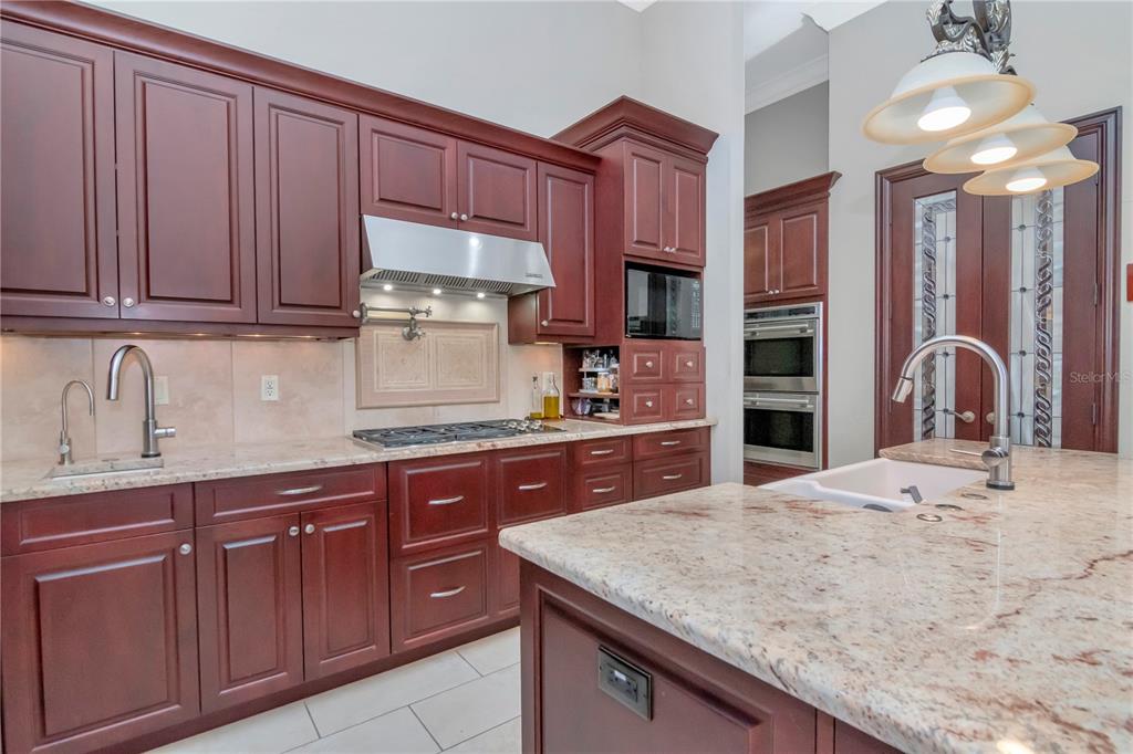 18901 Lakes Edge Way Odessa, FL 33556 - Photo 10 of 63