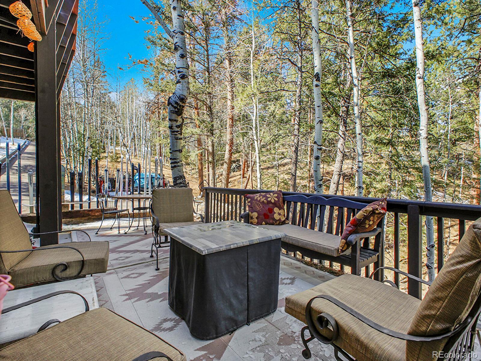 638 Impala Trail Bailey, CO 80421 - Photo 43 of 50