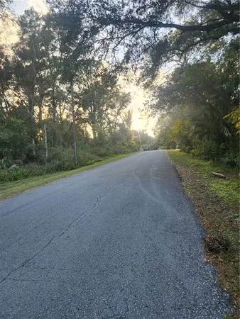 a view of a field with trees in background