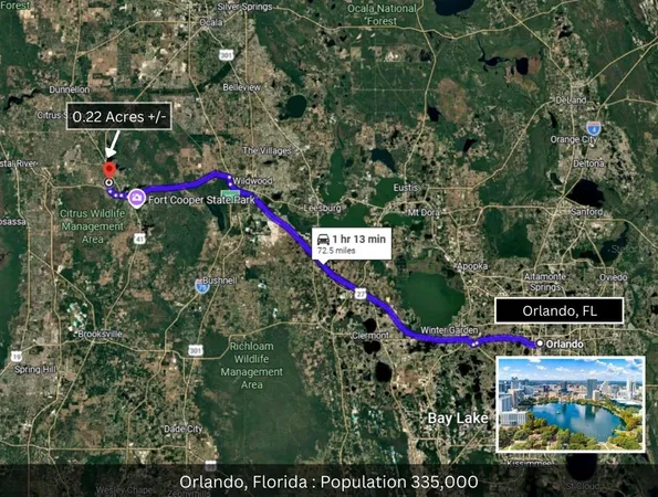 a view of a field with a trees in the background