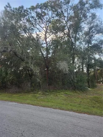 a view of a yard with a slide