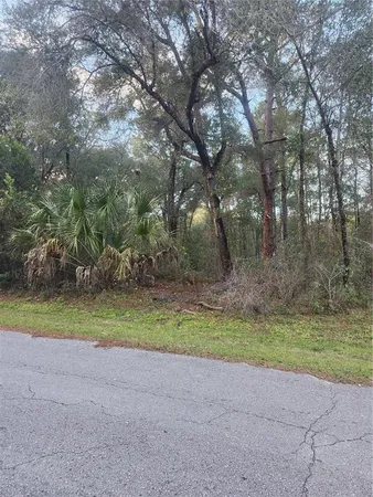 a view of backyard with green space