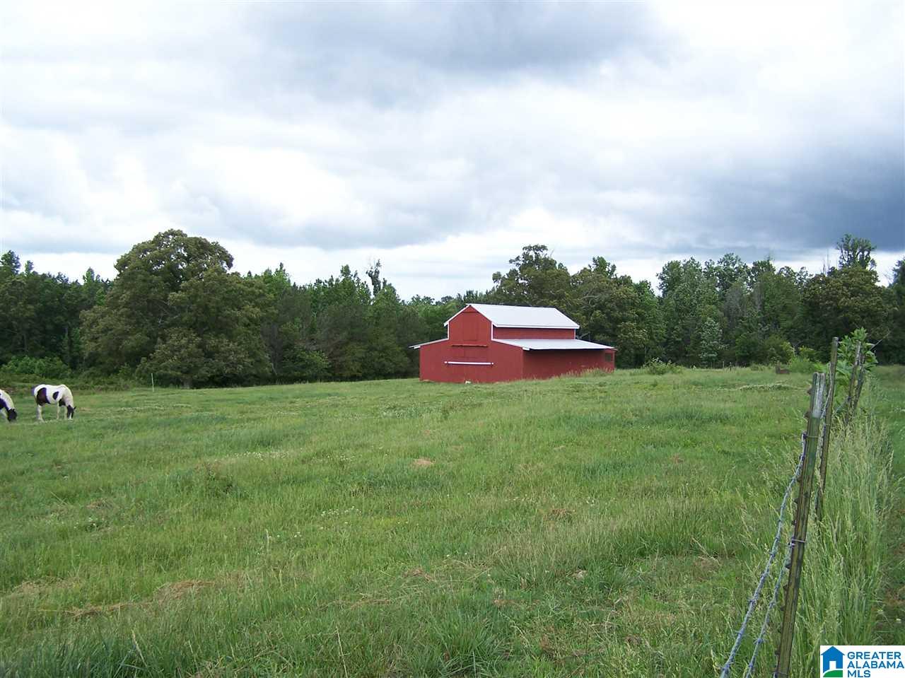 1595 Robin Hill Road Oneonta, AL 35121 - Photo 6 of 48