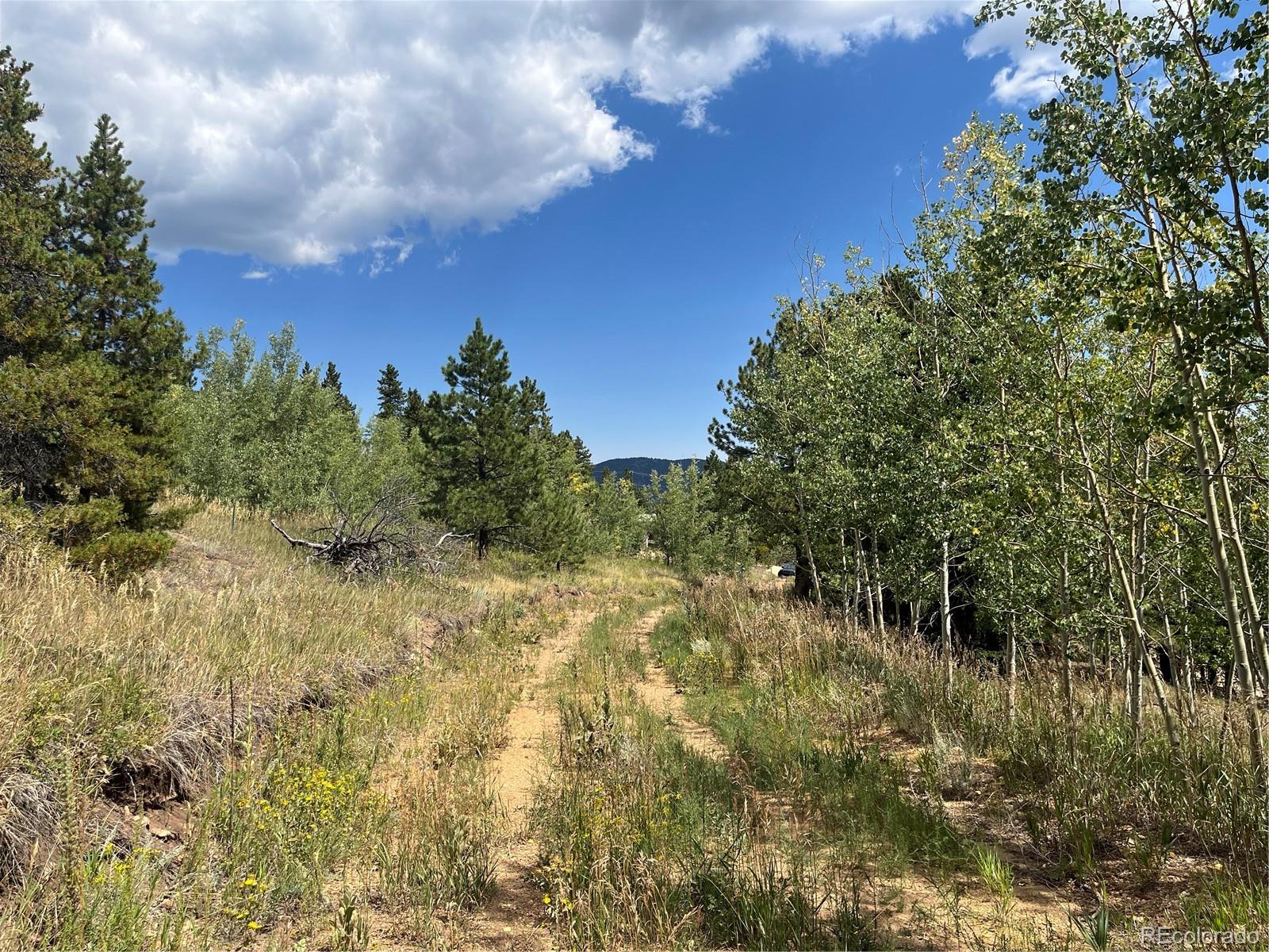 795 Thea Gulch Road Central City, CO 80427 - Photo 11 of 17