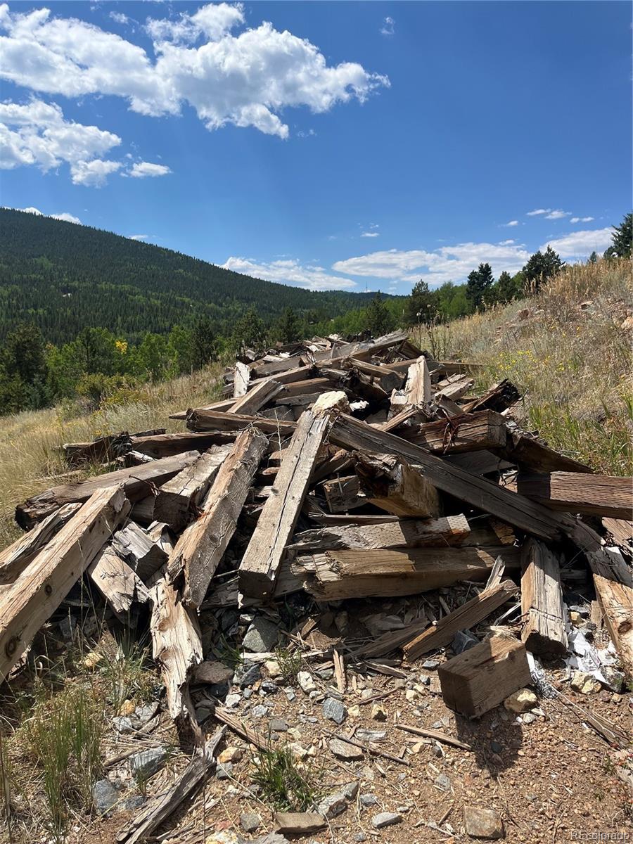 795 Thea Gulch Road Central City, CO 80427 - Photo 12 of 17