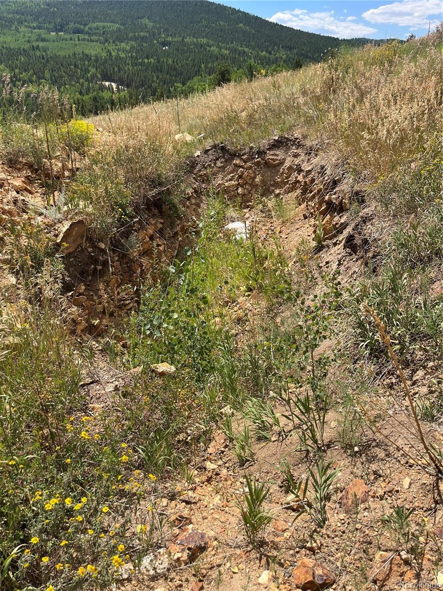 795 Thea Gulch Road Central City, CO 80427 - Photo 13 of 17