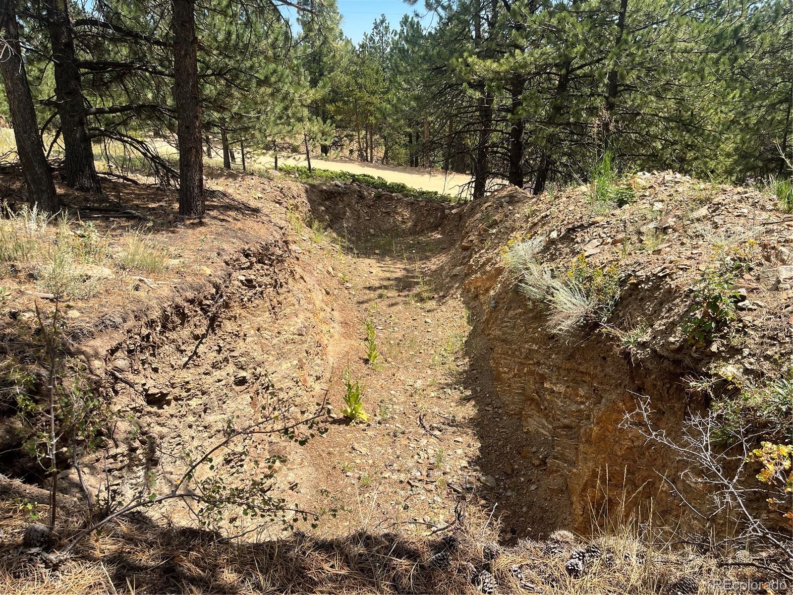 795 Thea Gulch Road Central City, CO 80427 - Photo 14 of 17