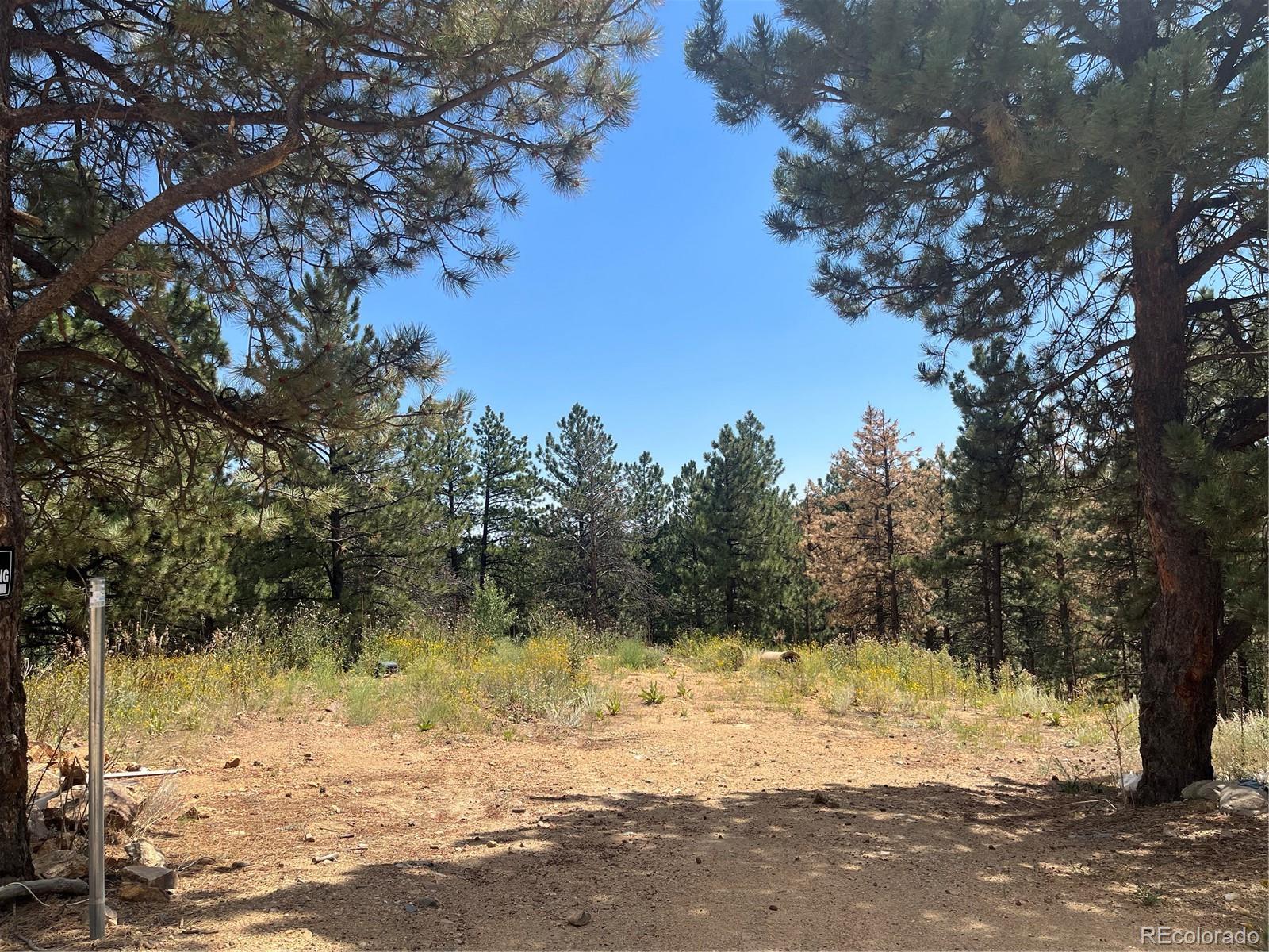 795 Thea Gulch Road Central City, CO 80427 - Photo 15 of 17