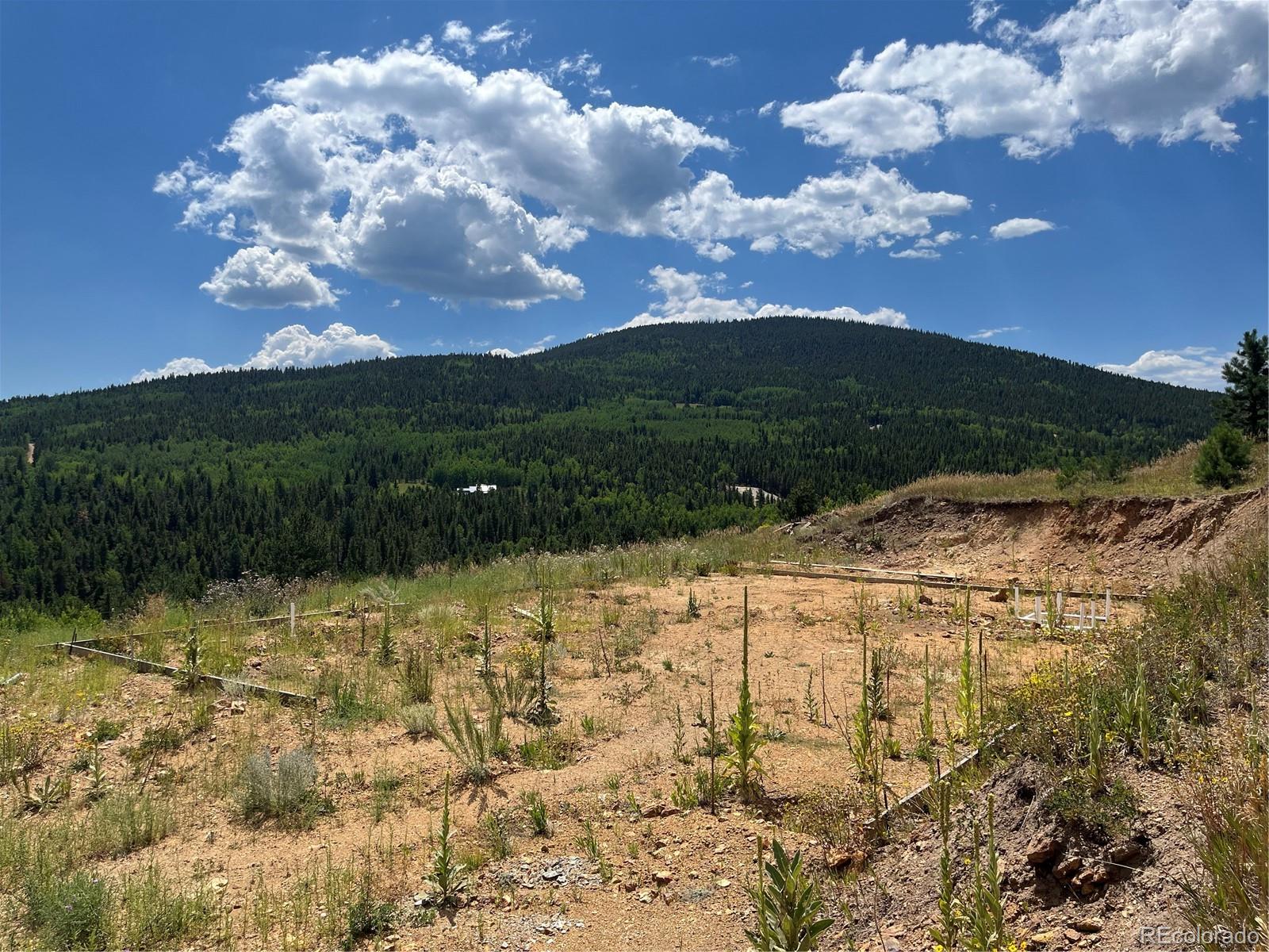 795 Russell Gulch Road Central City, CO 80427 - Photo 2 of 17 a view of lake view and mountain