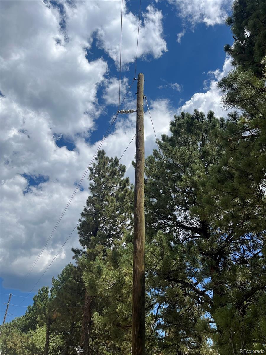 795 Thea Gulch Road Central City, CO 80427 - Photo 4 of 17