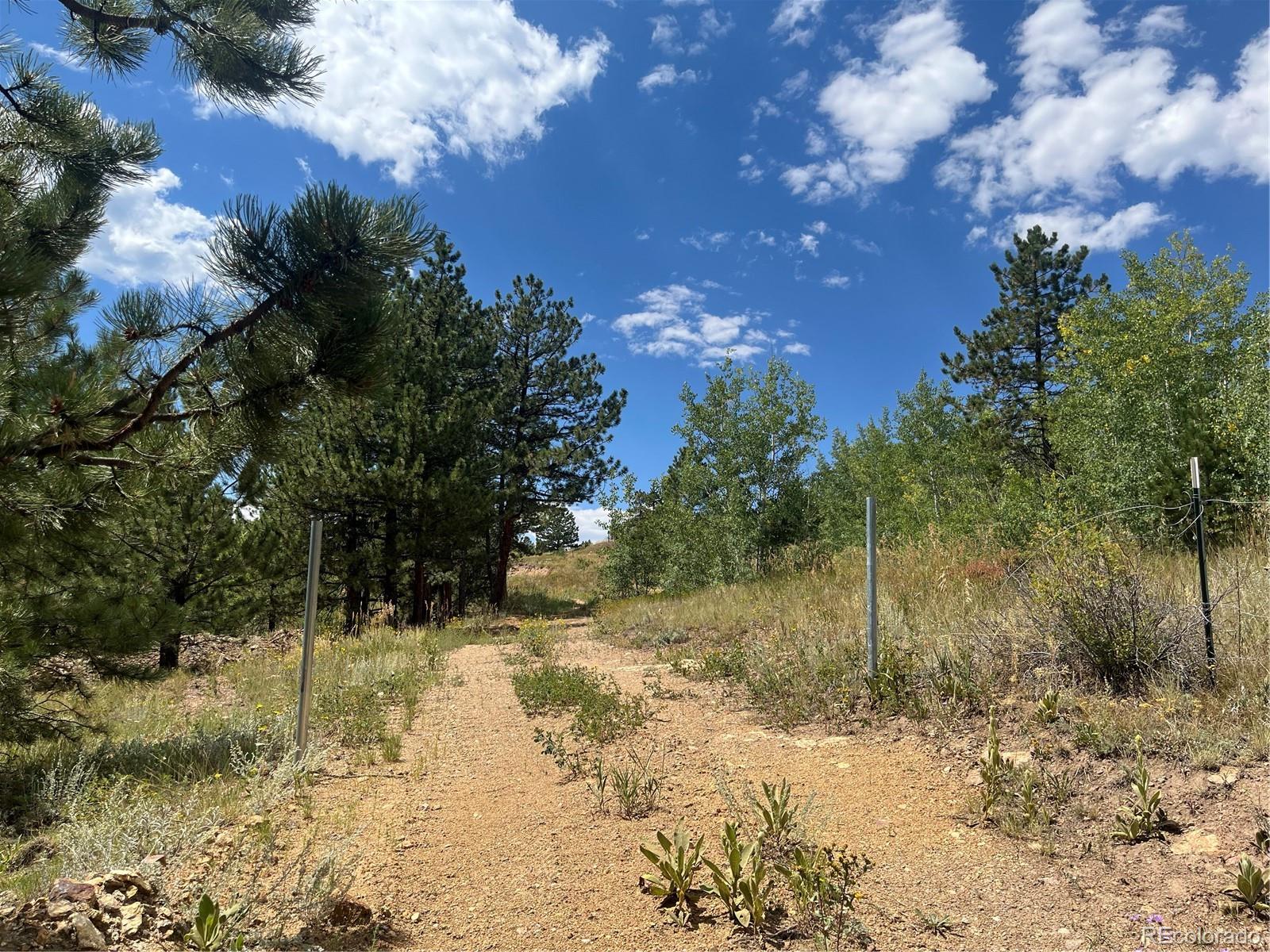 795 Thea Gulch Road Central City, CO 80427 - Photo 5 of 17