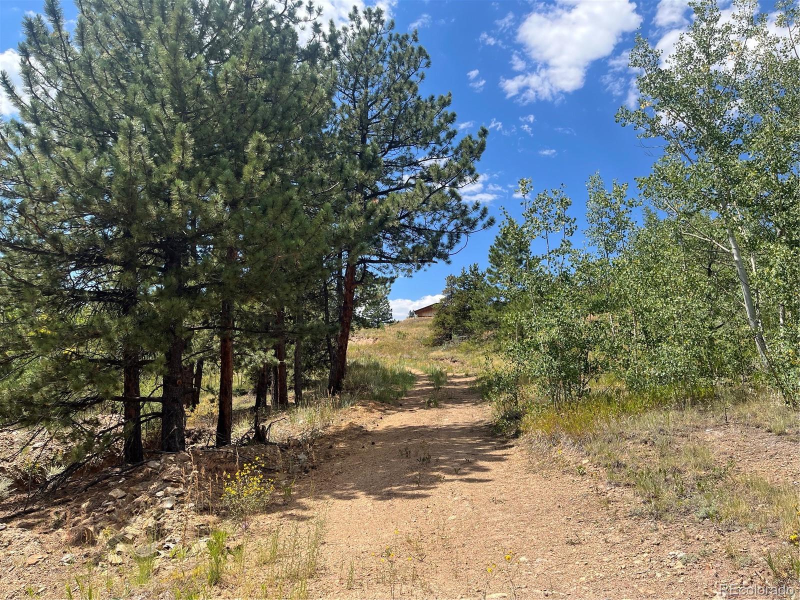 795 Thea Gulch Road Central City, CO 80427 - Photo 6 of 17