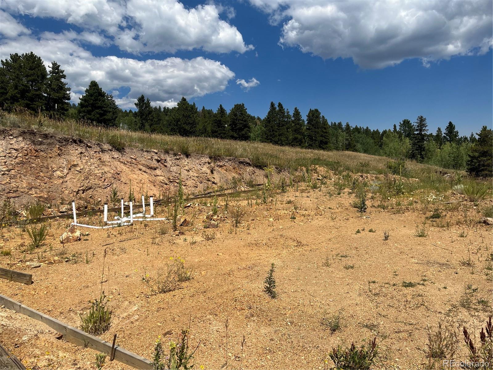 795 Thea Gulch Road Central City, CO 80427 - Photo 9 of 17