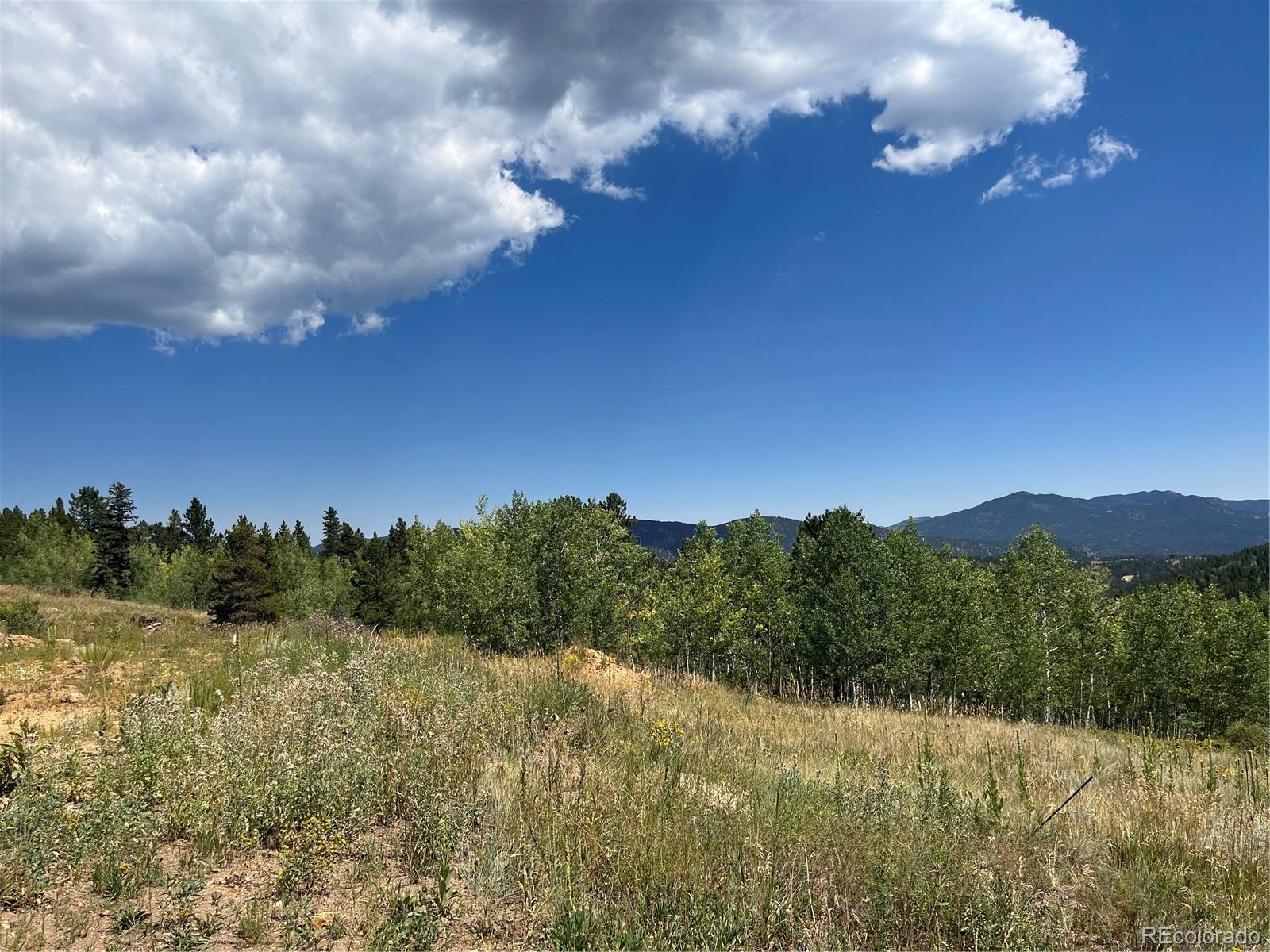 795 Thea Gulch Road Central City, CO 80427 - Photo 10 of 17