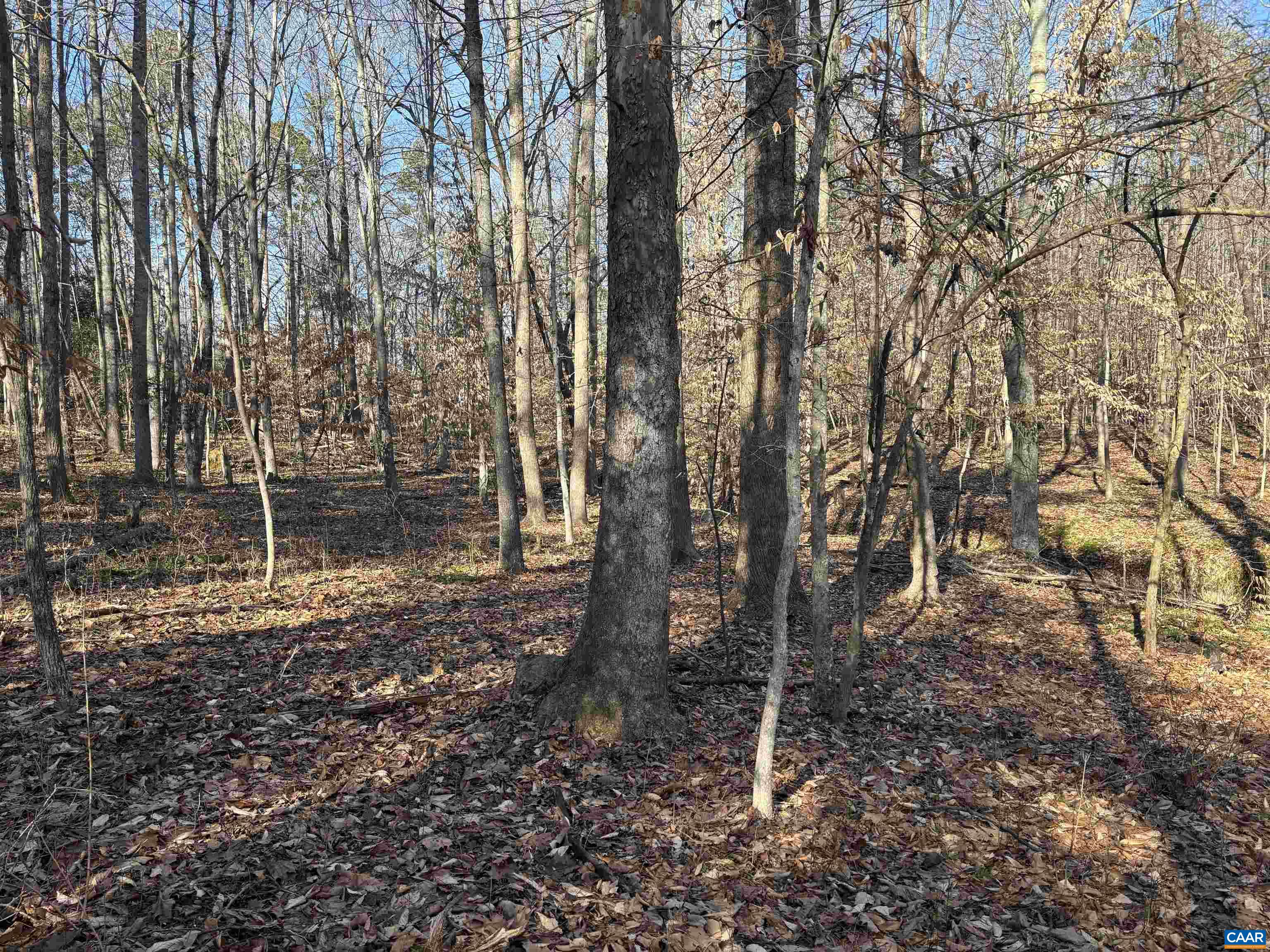 0 Bybees Church Road Palmyra, VA 22963 - Photo 6 of 7 Gallery Image 6