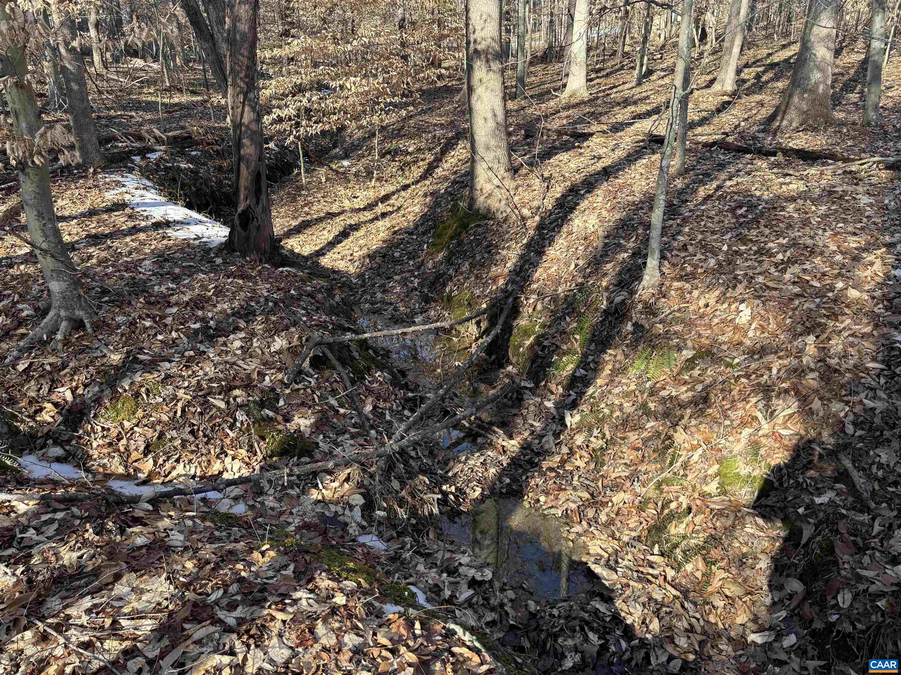 0 Bybees Church Road Palmyra, VA 22963 - Photo 7 of 7 Gallery Image 7