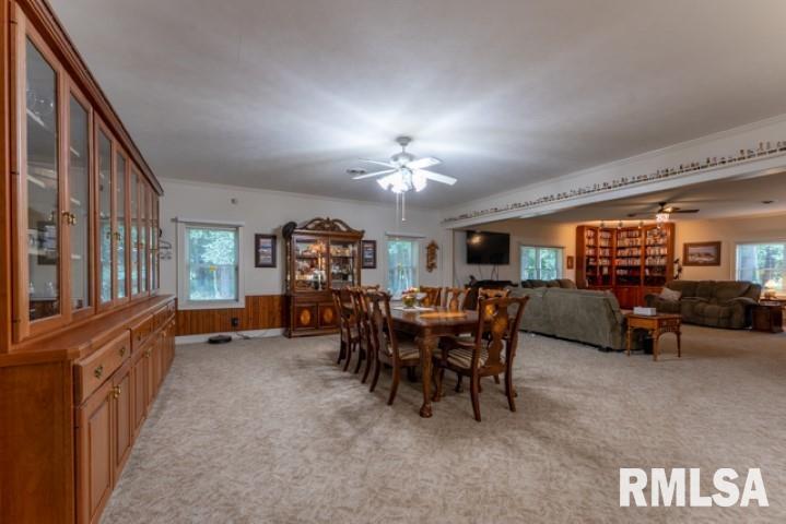 3381 Renfro Lake Road Mulkeytown, IL 62865 - Photo 13 of 50 Gallery Image 13