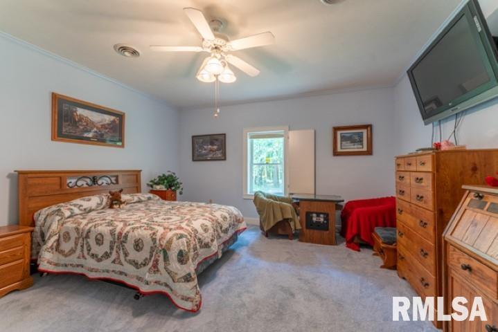 3381 Renfro Lake Road Mulkeytown, IL 62865 - Photo 33 of 50 Gallery Image 33