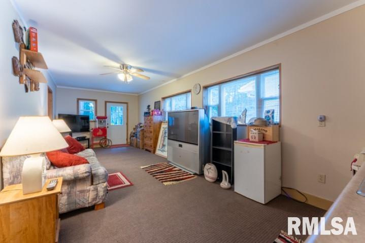3381 Renfro Lake Road Mulkeytown, IL 62865 - Photo 45 of 50 Gallery Image 45