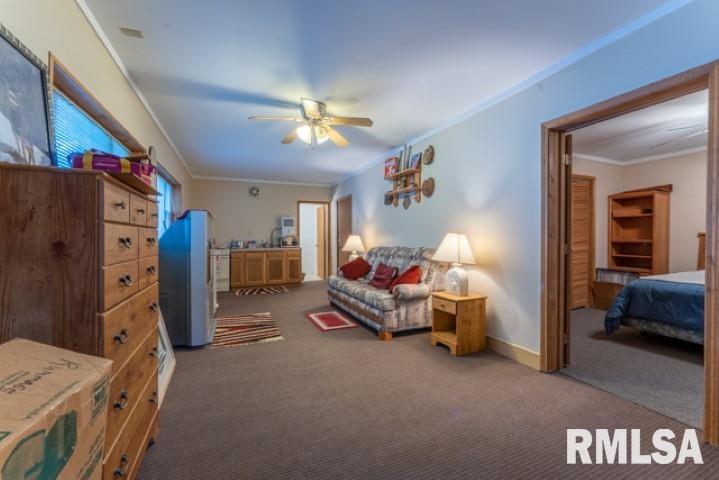 3381 Renfro Lake Road Mulkeytown, IL 62865 - Photo 46 of 50 Gallery Image 46