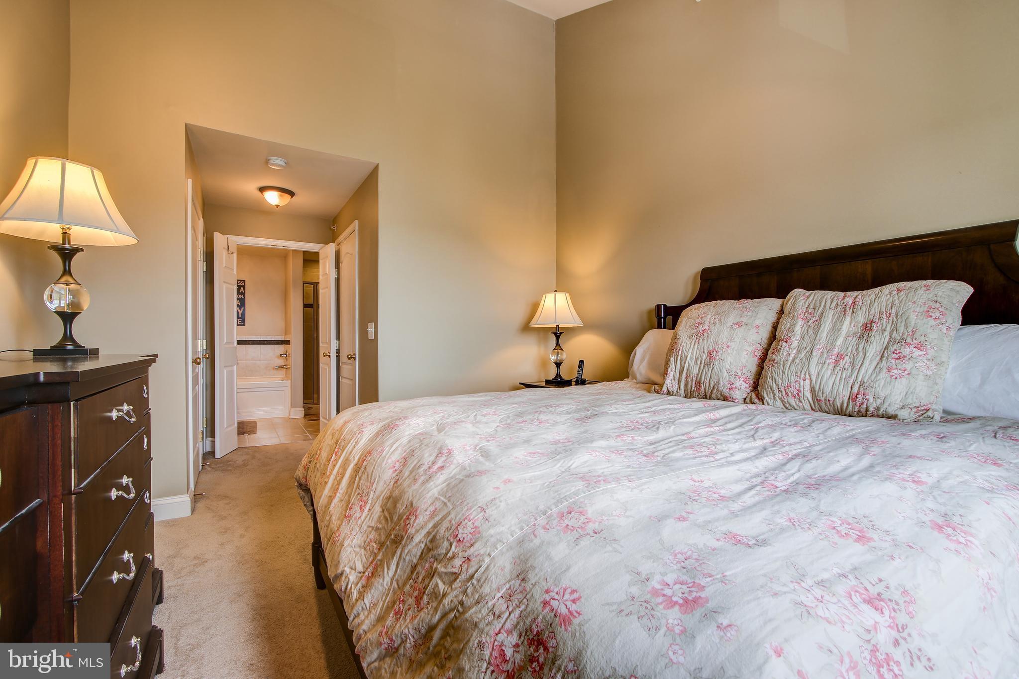 12824 Clarksburg Square Road, Unit 405 Clarksburg, MD 20871 - Photo 20 of 32 Master suite