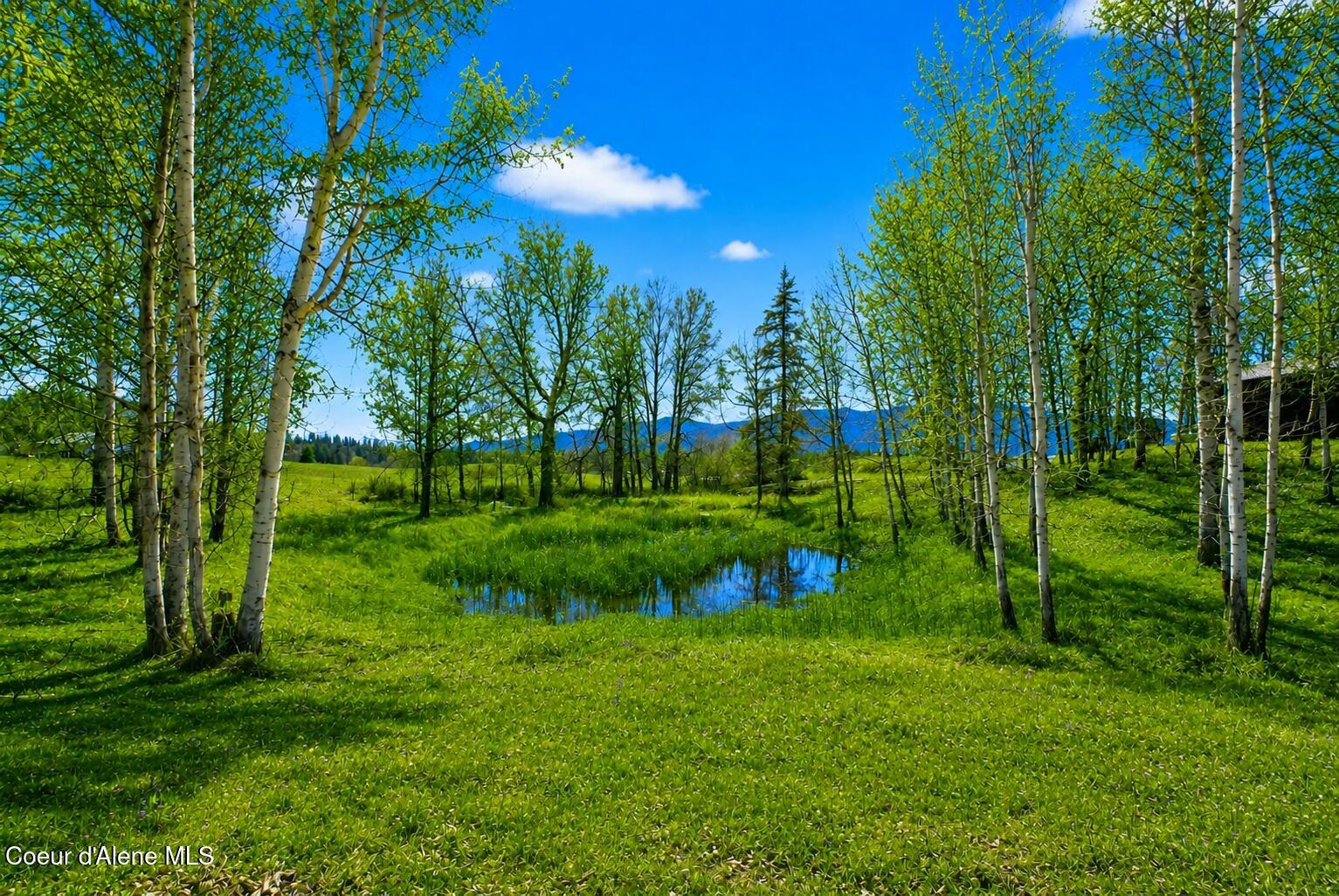 1297 Eastside Road Priest River, ID 83856 - Photo 7 of 31 Virtual sky