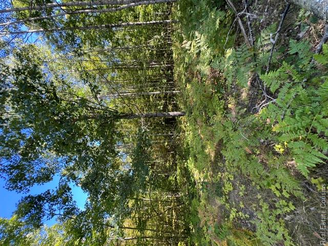 718 Worsh Road Cheboygan, MI 49721 - Photo 3 of 11 IMG_9913.jpeg