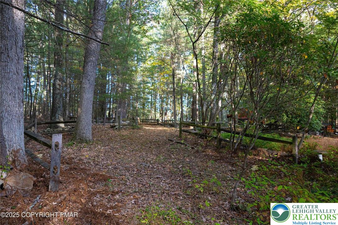 229 Deer Path Kunkletown, PA 18058 - Photo 12 of 29 a view of forest