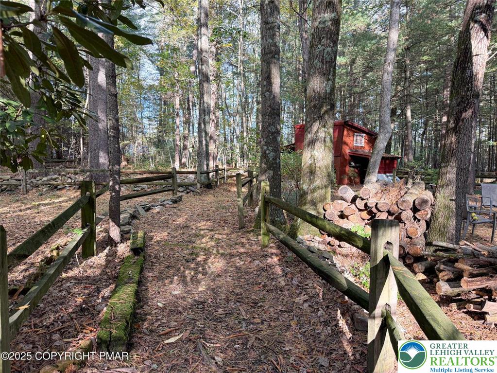 229 Deer Path Kunkletown, PA 18058 - Photo 10 of 29 a view of outdoor space and yard