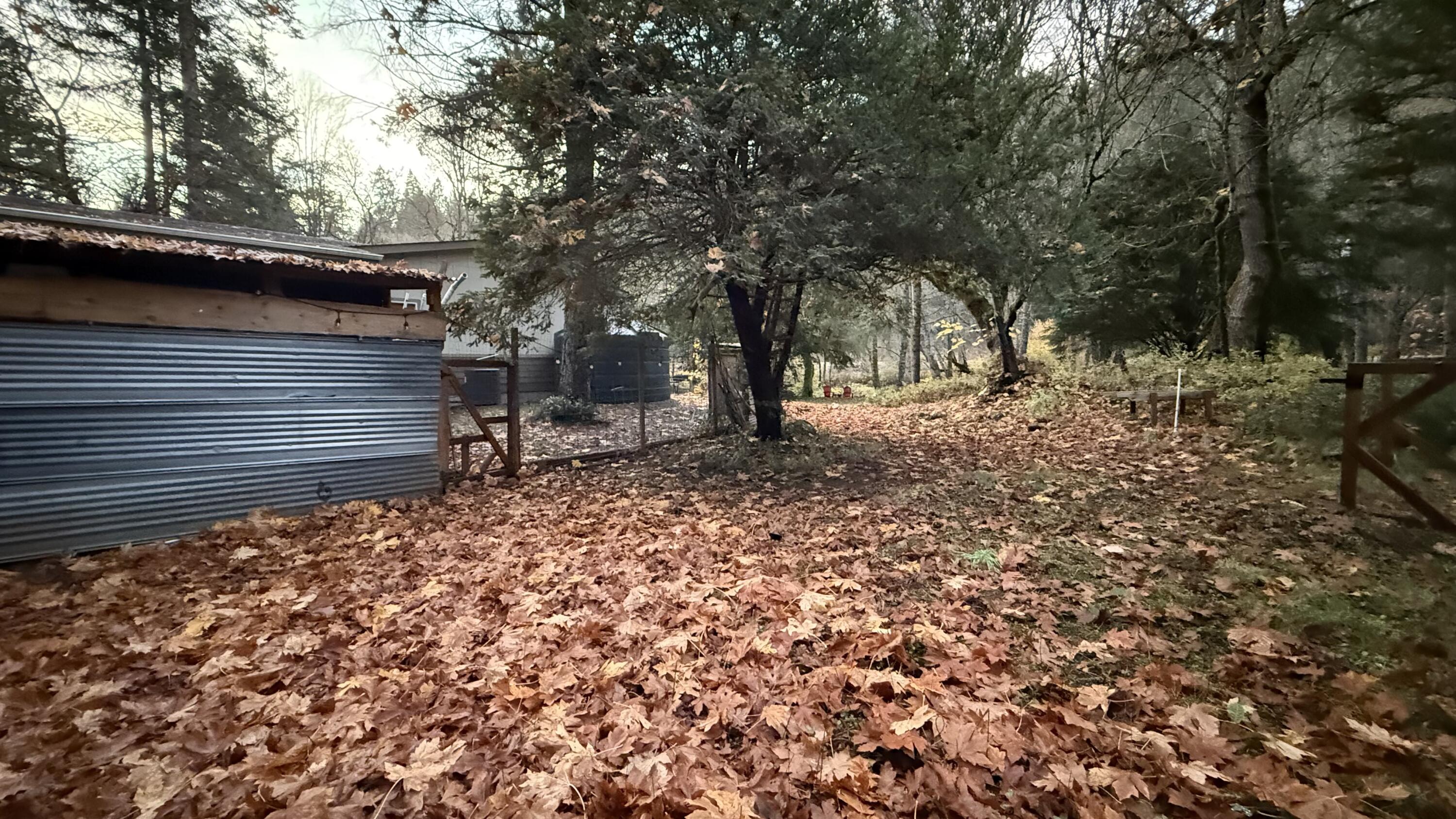 52 Dodes Creek Road Trail, OR 97541 - Photo 25 of 110 Shed/Side Yard