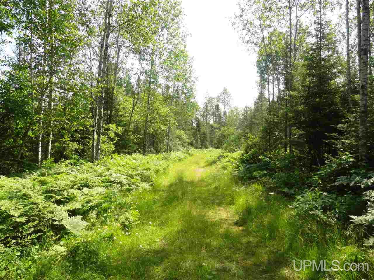 8878 Co Road Republic, MI 49879 - Photo 15 of 34