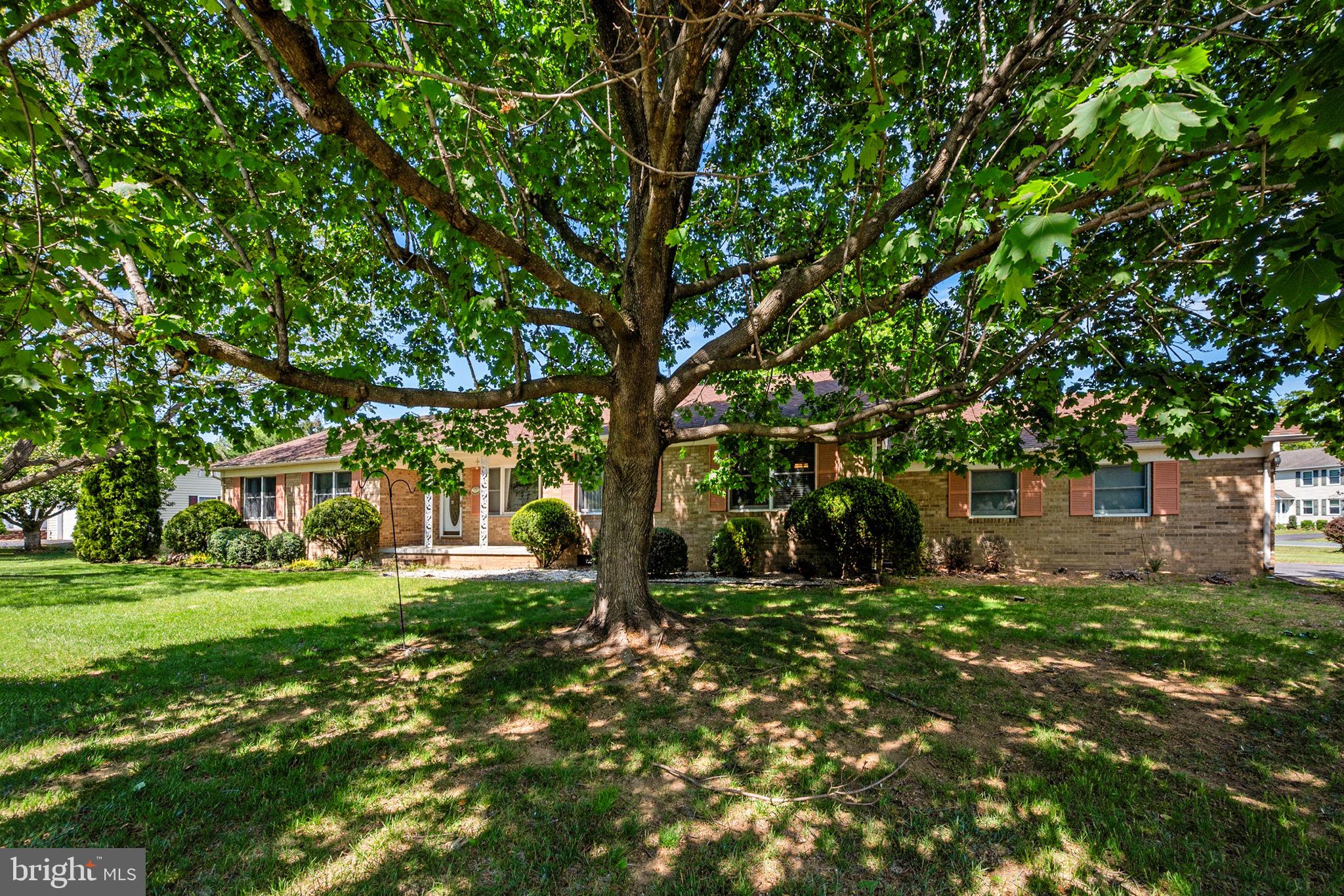 109 Rockbridge Road Stephens City, VA 22655 - Photo 3 of 52 Gorgeous mature trees for shade & privacy