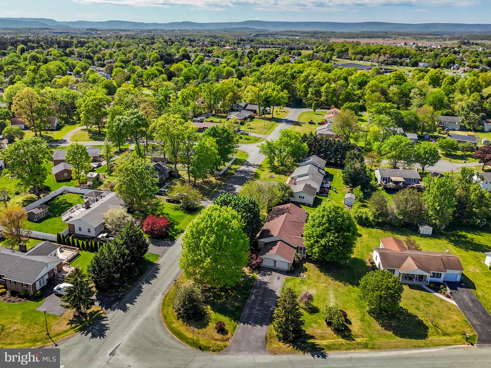 109 Rockbridge Road Stephens City, VA 22655 - Photo 49 of 52 Sprawling corner lot